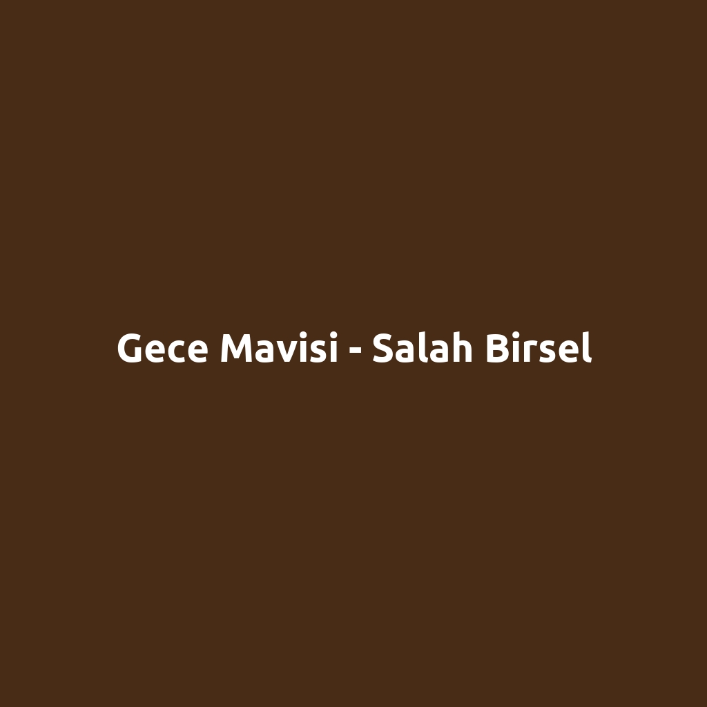Gece Mavisi - Salah Birsel