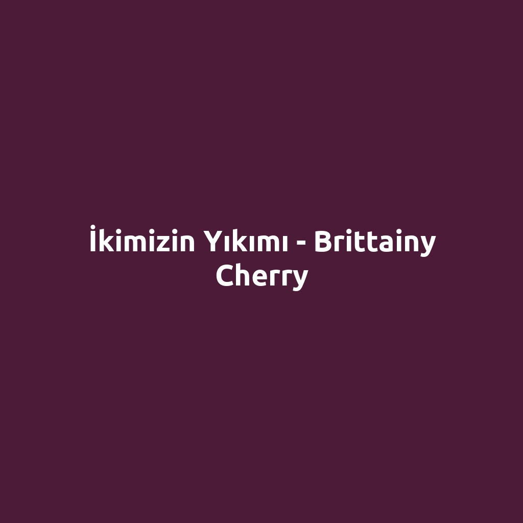 İkimizin Yıkımı - Brittainy Cherry