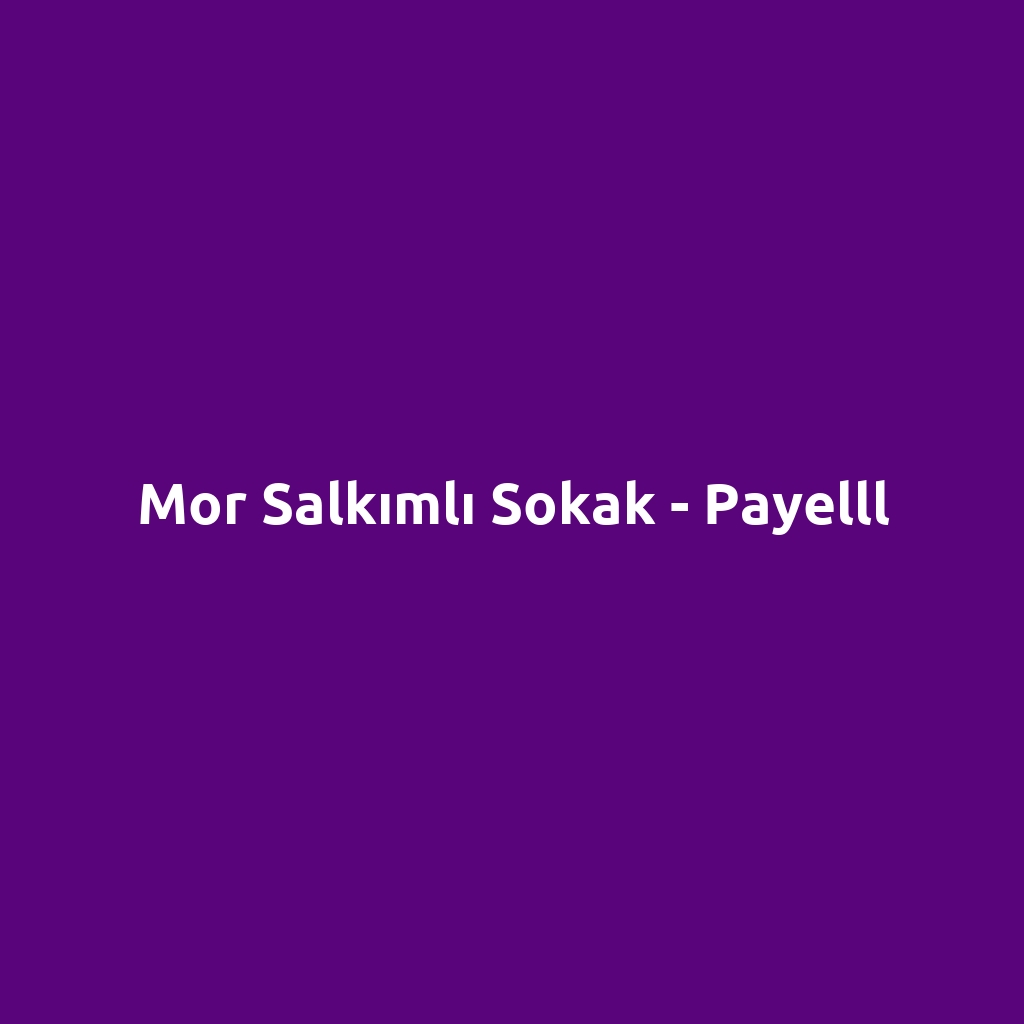 Mor Salkımlı Sokak - Payelll