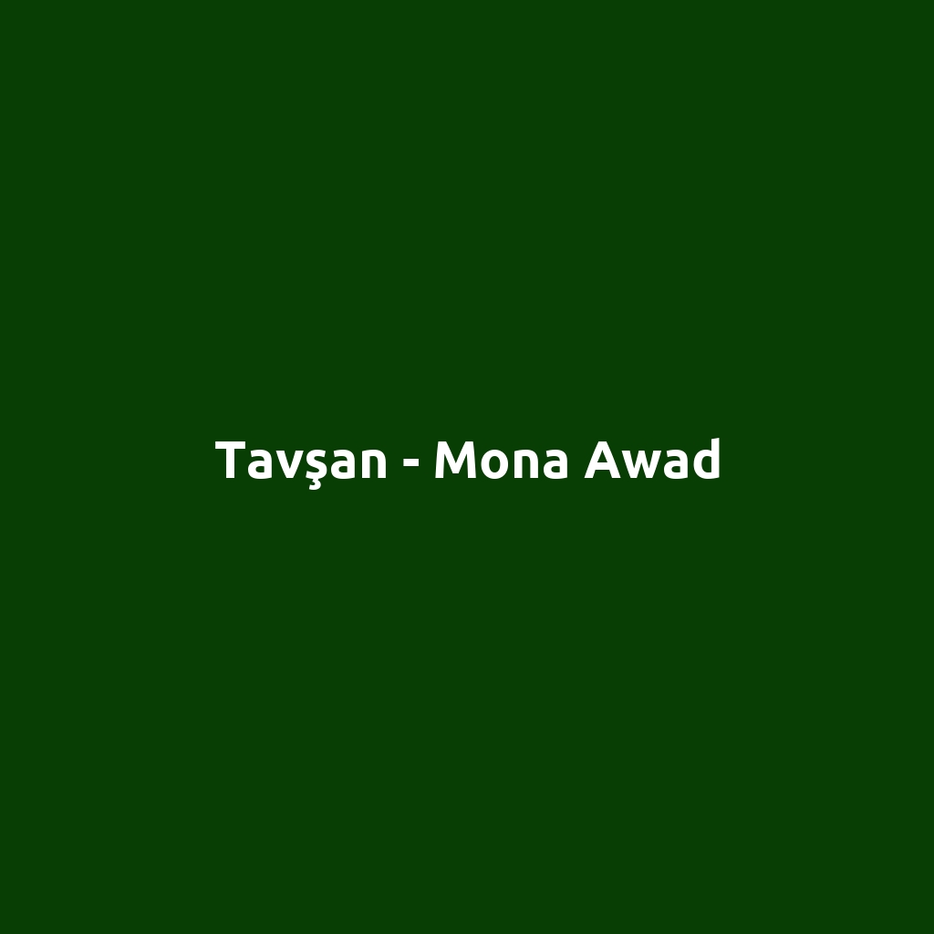 Tavşan - Mona Awad