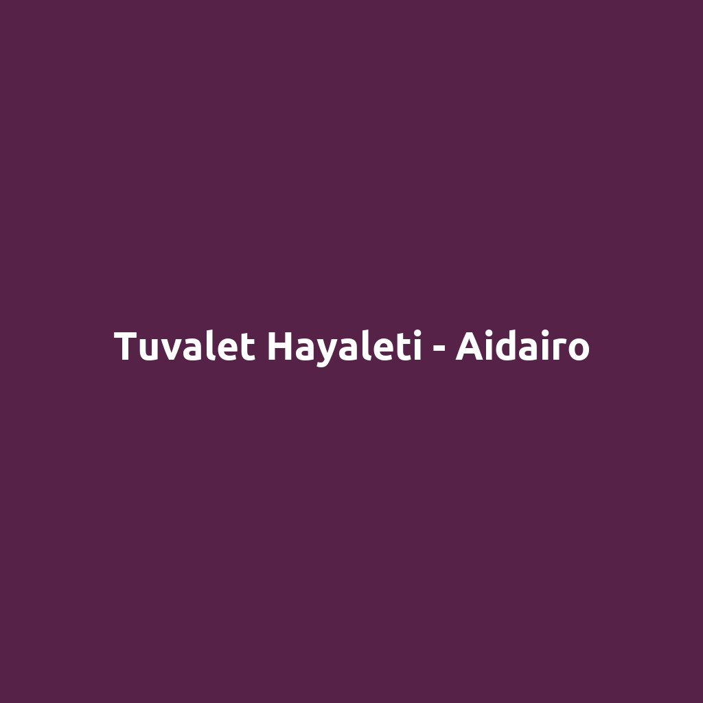 Tuvalet Hayaleti - Aidairo