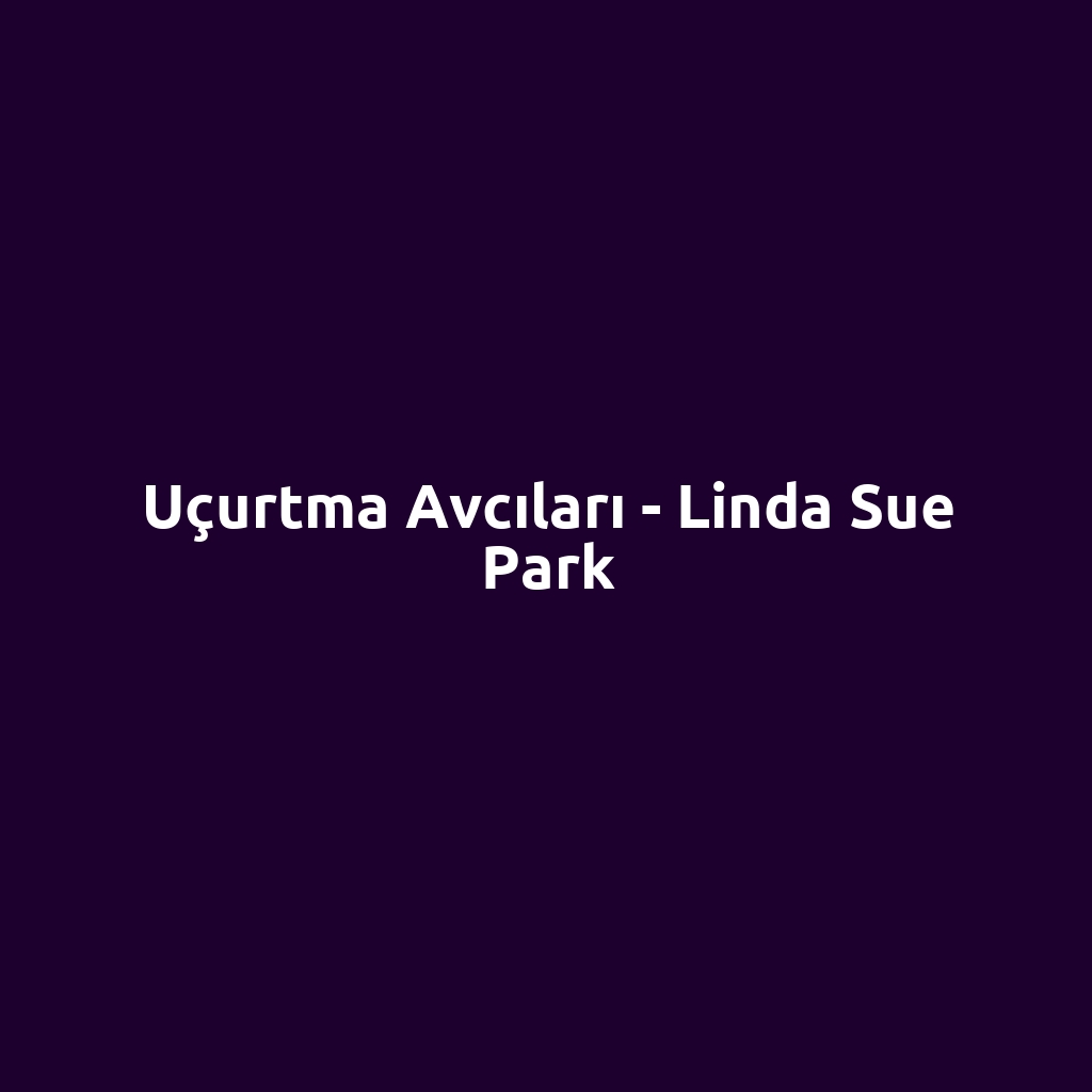 Uçurtma Avcıları - Linda Sue Park