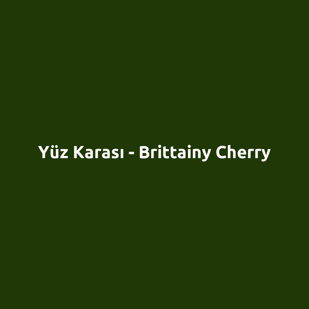 Yüz Karası - Brittainy Cherry
