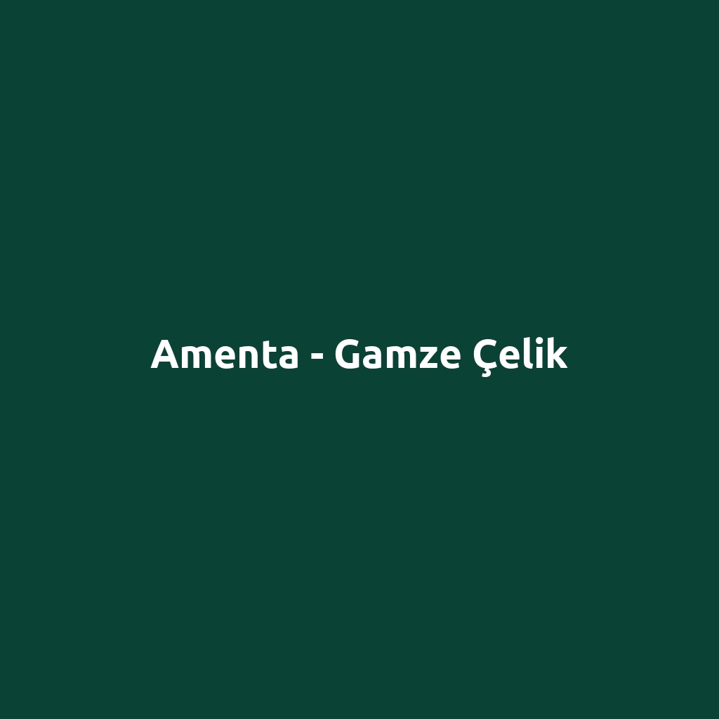 Amenta - Gamze Çelik
