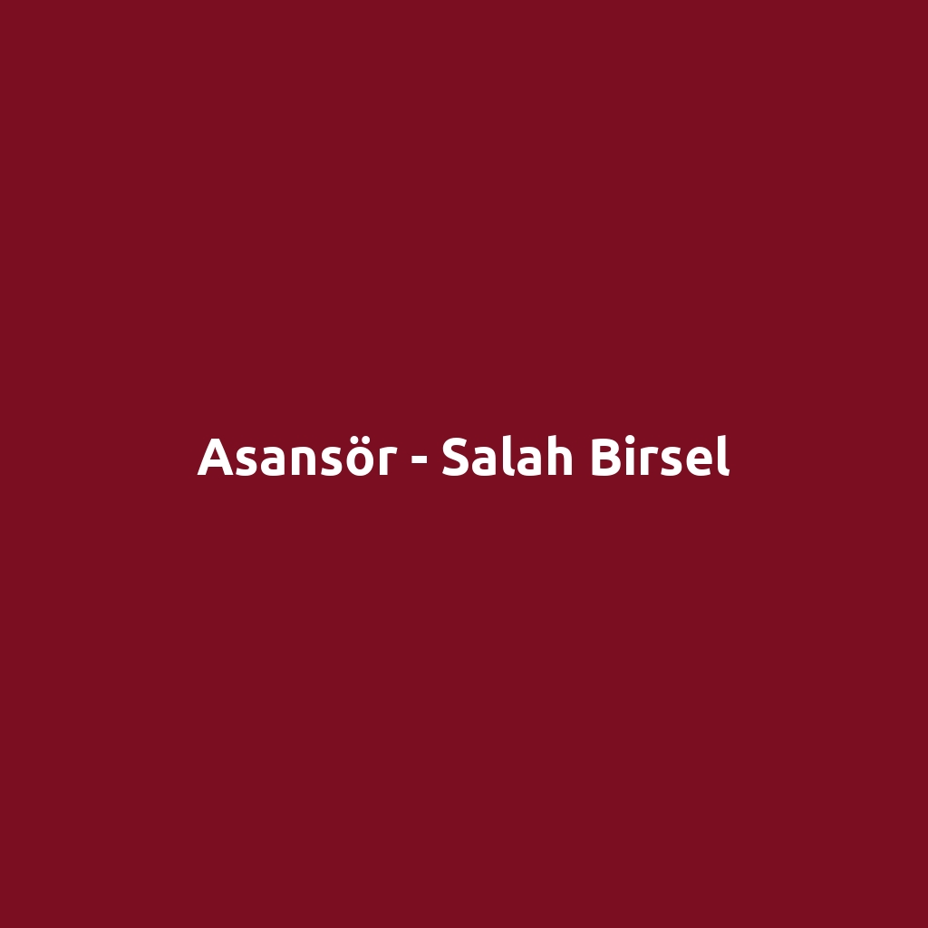Asansör - Salah Birsel