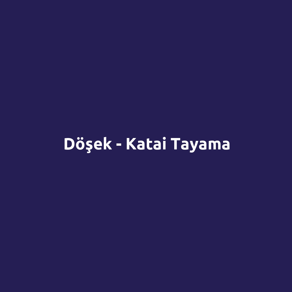 Döşek - Katai Tayama