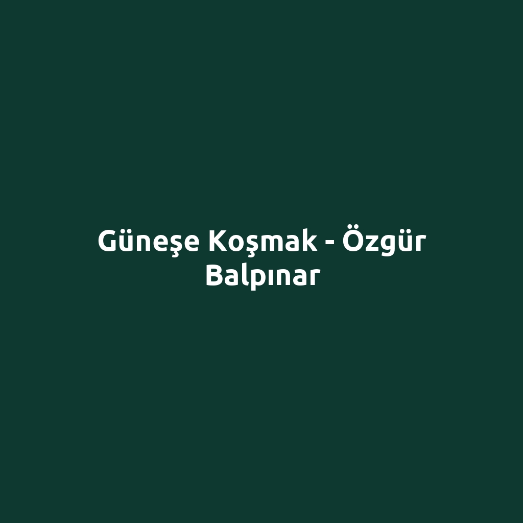 Güneşe Koşmak - Özgür Balpınar