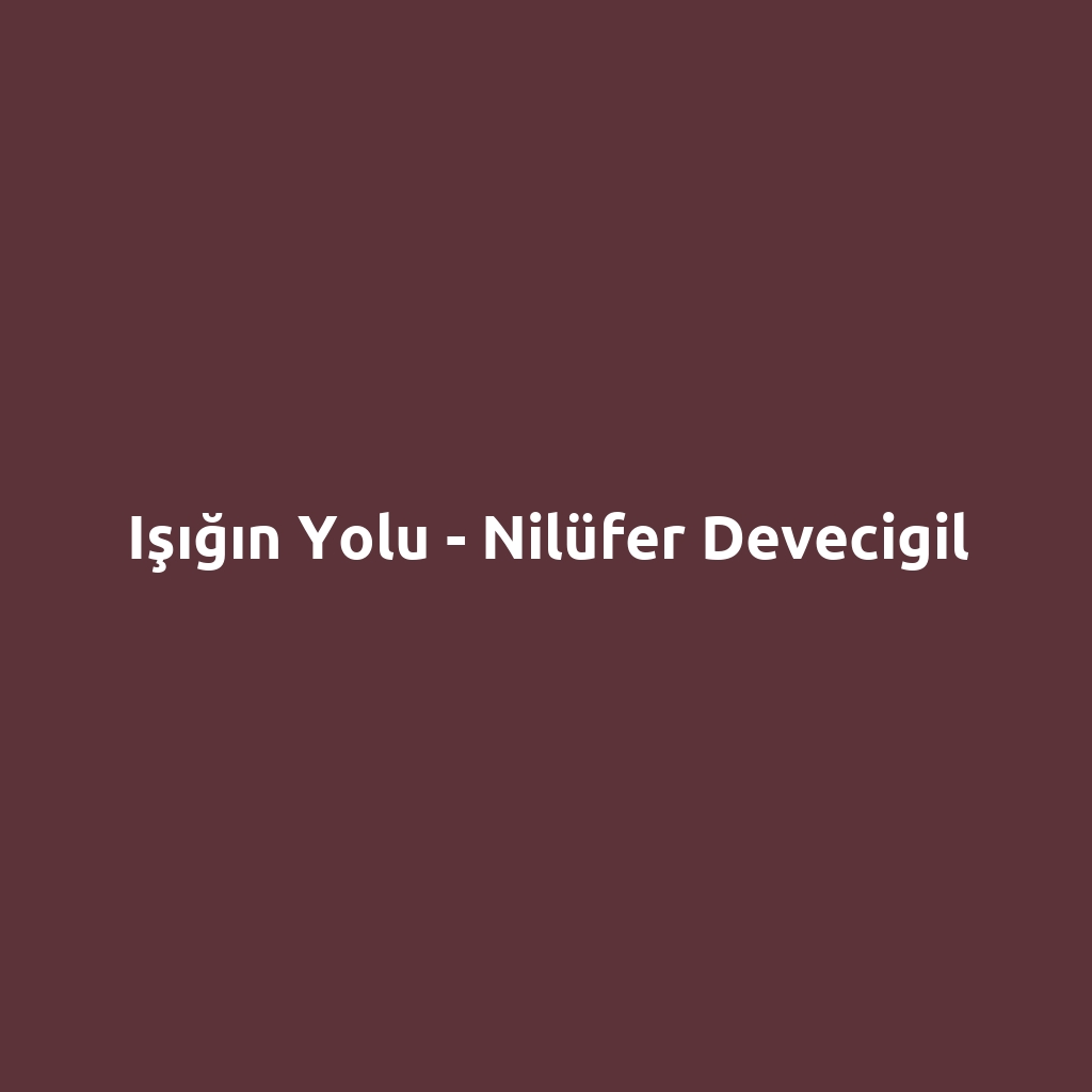 Işığın Yolu - Nilüfer Devecigil