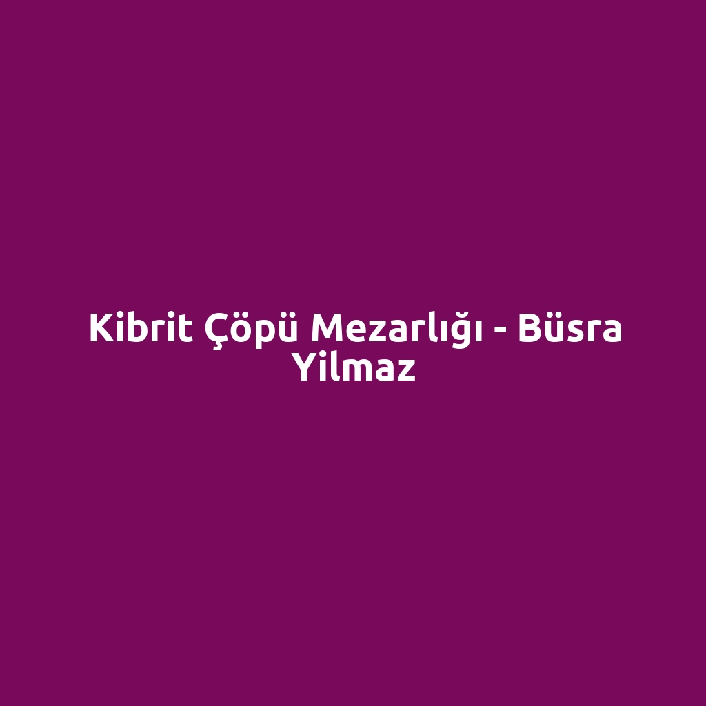 Kibrit Çöpü Mezarlığı - Büsra Yilmaz