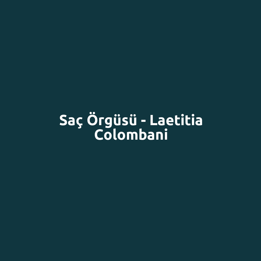 Saç Örgüsü - Laetitia Colombani