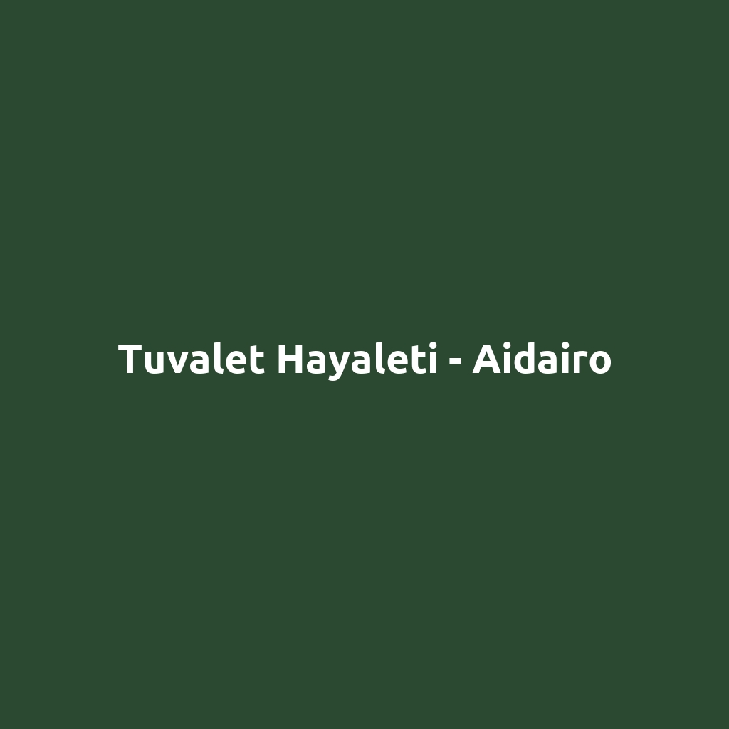 Tuvalet Hayaleti - Aidairo