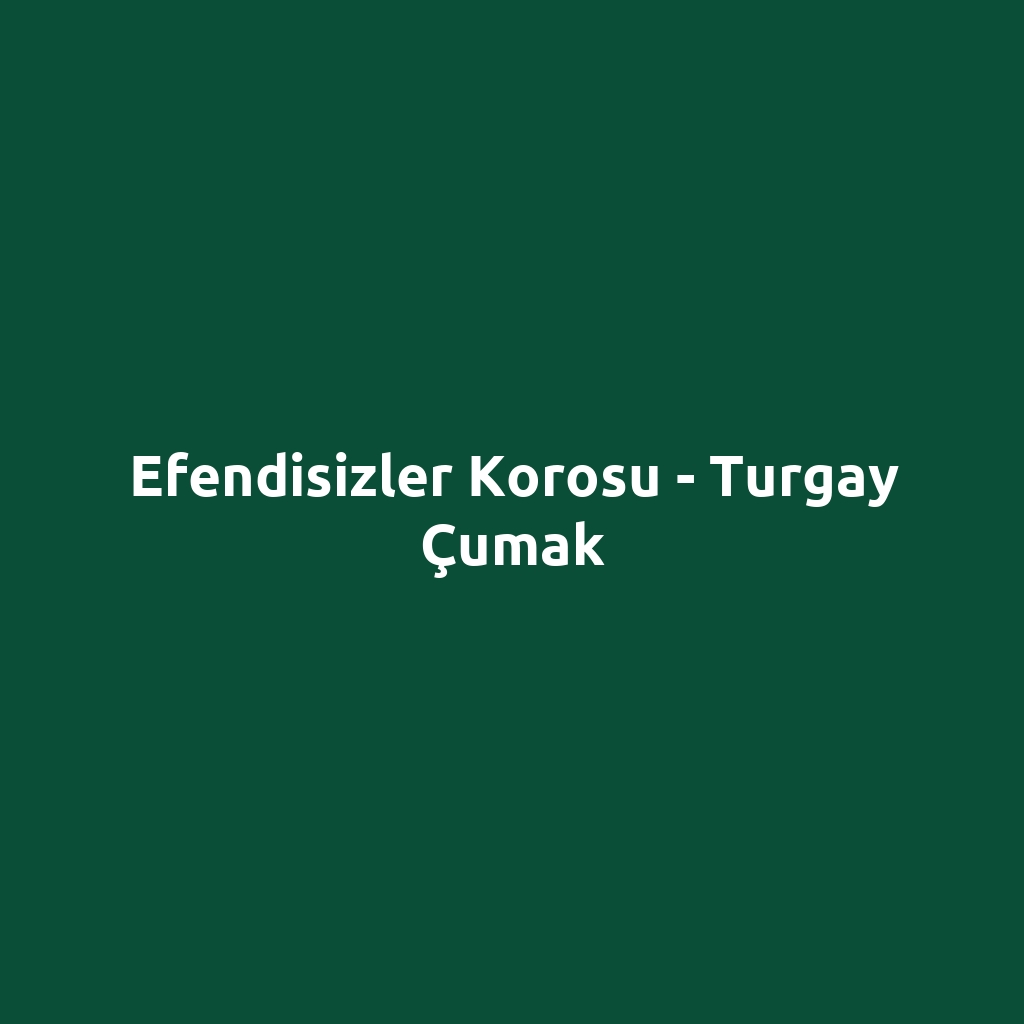 Efendisizler Korosu - Turgay Çumak