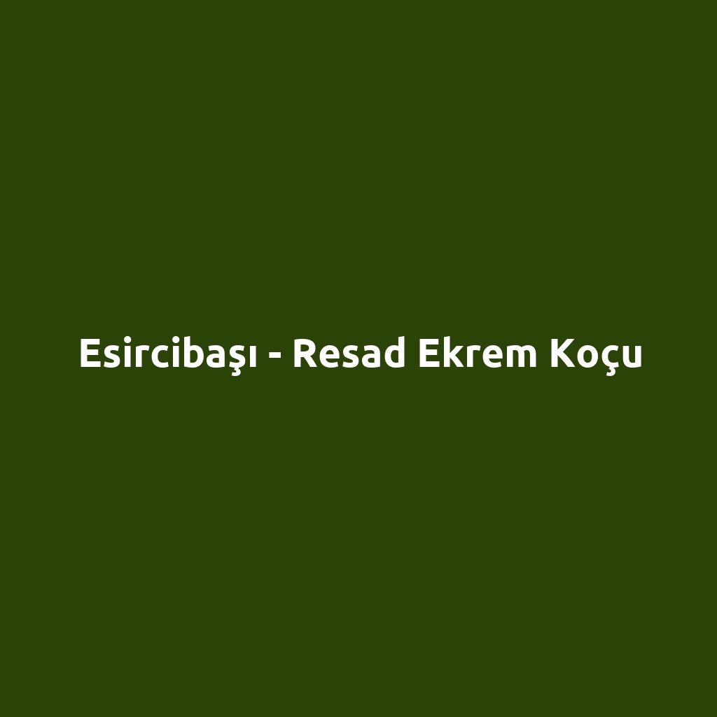 Esircibaşı - Resad Ekrem Koçu