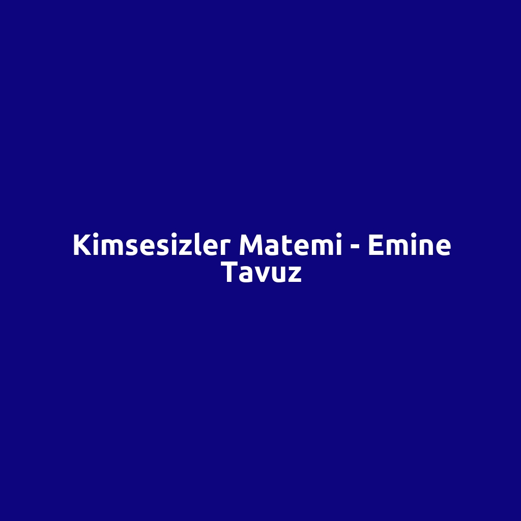 Kimsesizler Matemi - Emine Tavuz