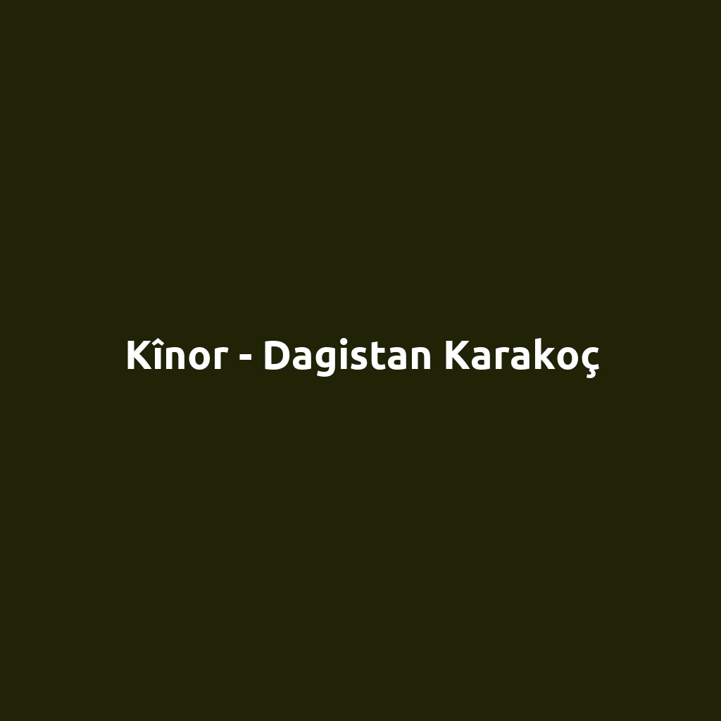 Kînor - Dagistan Karakoç