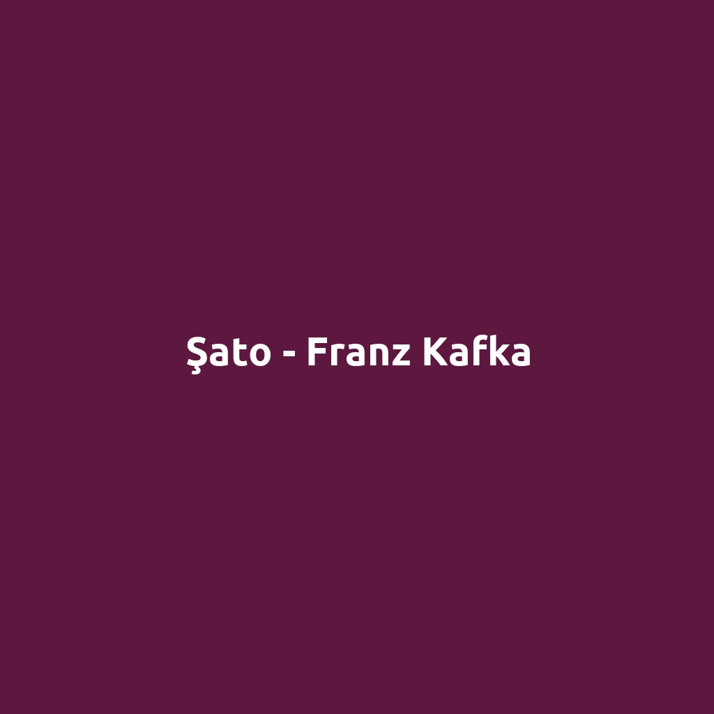 Şato - Franz Kafka
