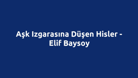 Aşk Izgarasına Düşen Hisler - Elif Baysoy