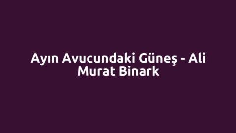 Ayın Avucundaki Güneş - Ali Murat Binark