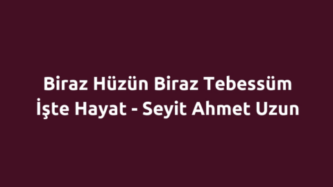 Biraz Hüzün Biraz Tebessüm İşte Hayat - Seyit Ahmet Uzun