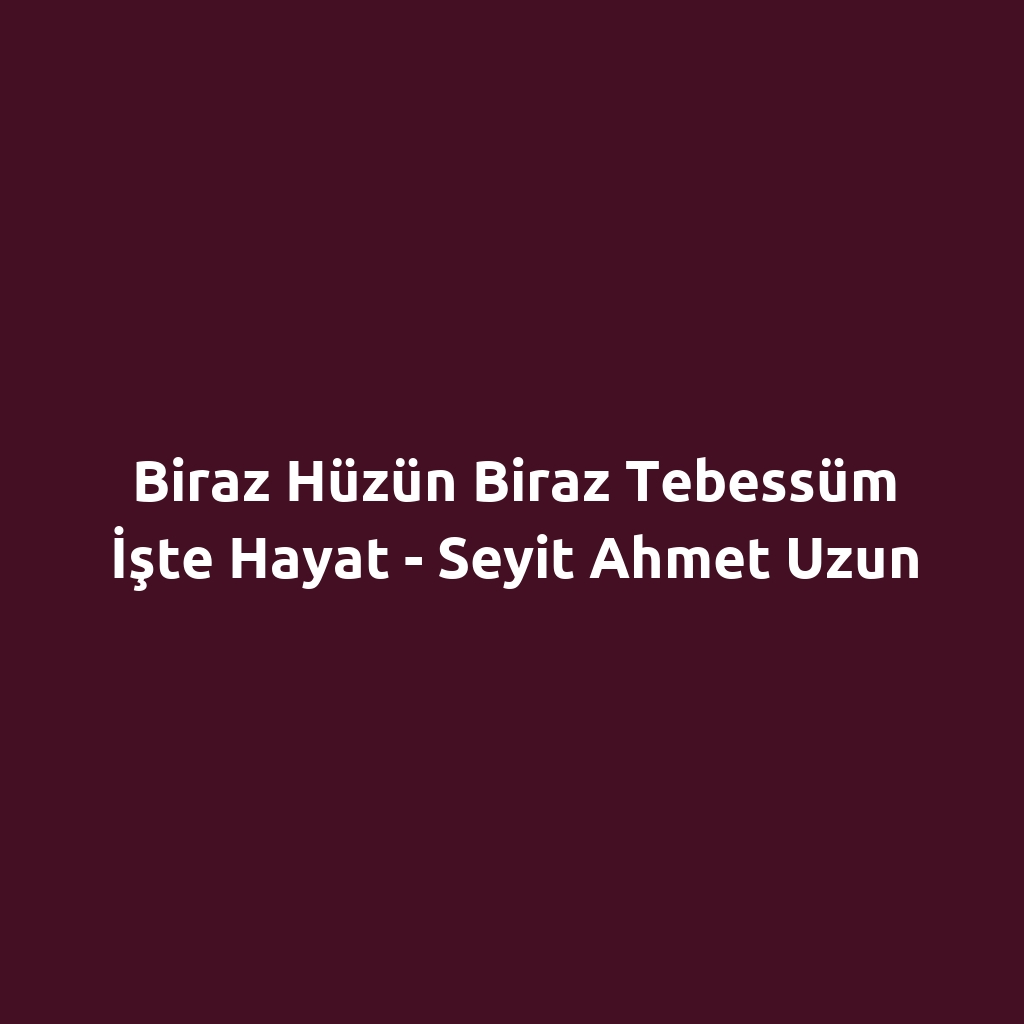 Biraz Hüzün Biraz Tebessüm İşte Hayat - Seyit Ahmet Uzun