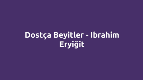 Dostça Beyitler - Ibrahim Eryiğit