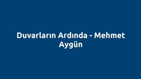 Duvarların Ardında - Mehmet Aygün