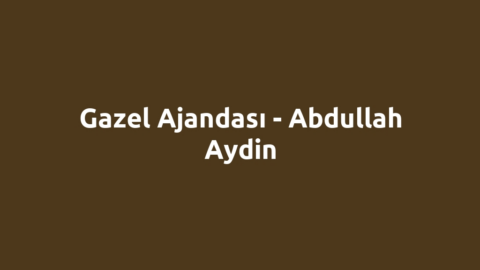 Gazel Ajandası - Abdullah Aydin