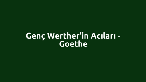 Genç Werther’in Acıları - Goethe