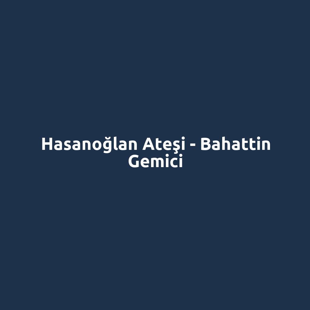 Hasanoğlan Ateşi - Bahattin Gemici