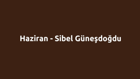 Haziran - Sibel Güneşdoğdu
