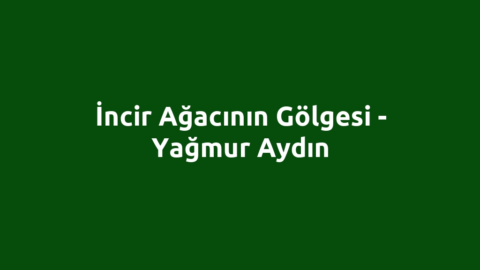 İncir Ağacının Gölgesi - Yağmur Aydın