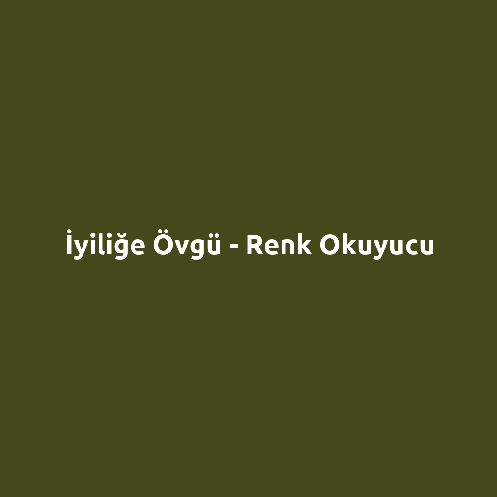 İyiliğe Övgü - Renk Okuyucu