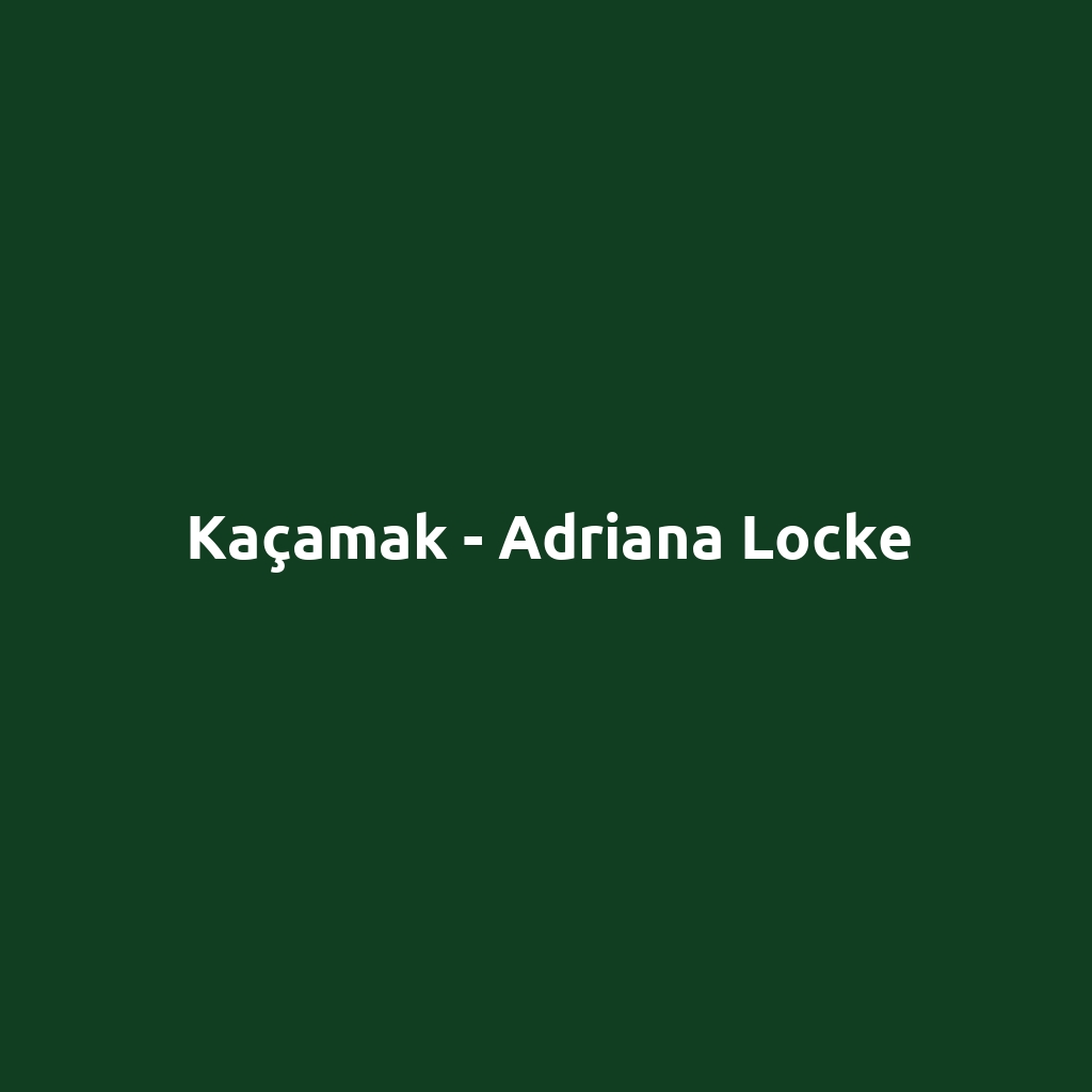 Kaçamak - Adriana Locke