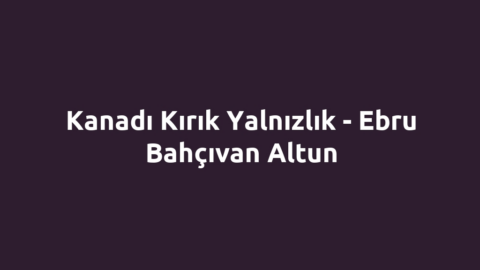 Kanadı Kırık Yalnızlık - Ebru Bahçıvan Altun