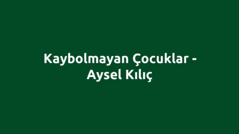 Kaybolmayan Çocuklar - Aysel Kılıç