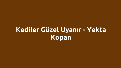 Kediler Güzel Uyanır - Yekta Kopan