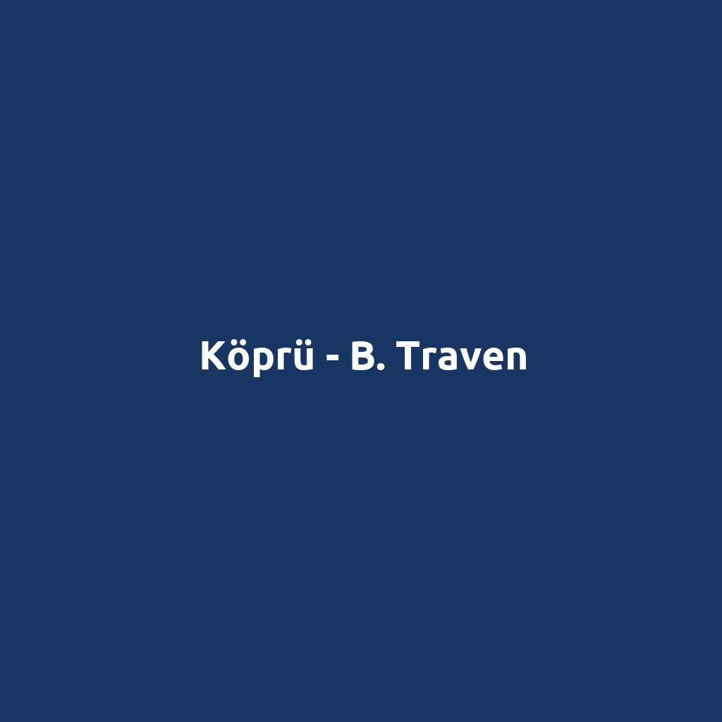 Köprü - B. Traven