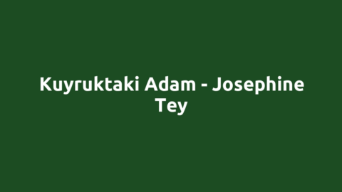Kuyruktaki Adam - Josephine Tey