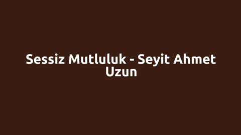 Sessiz Mutluluk - Seyit Ahmet Uzun