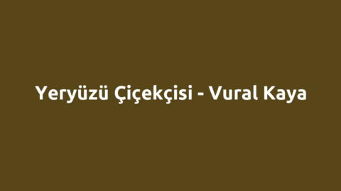 Yeryüzü Çiçekçisi - Vural Kaya