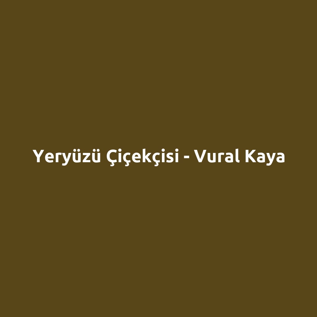Yeryüzü Çiçekçisi - Vural Kaya