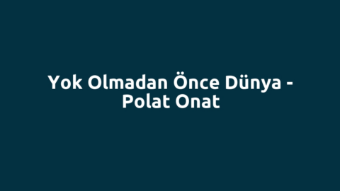Yok Olmadan Önce Dünya - Polat Onat