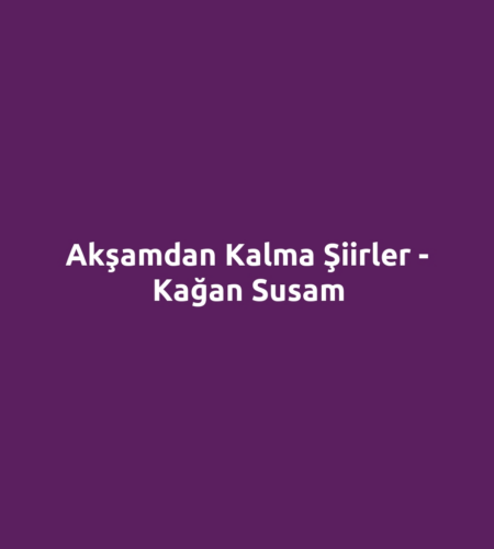 Akşamdan Kalma Şiirler - Kağan Susam