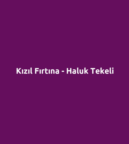 Kızıl Fırtına - Haluk Tekeli