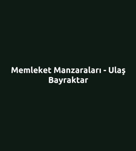 Memleket Manzaraları - Ulaş Bayraktar