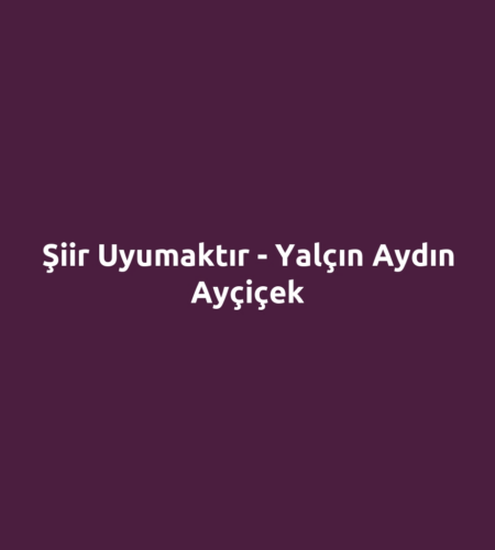 Şiir Uyumaktır - Yalçın Aydın Ayçiçek